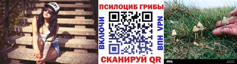 Псилоцибиновые грибы Magic Shrooms  Новая Ляля 